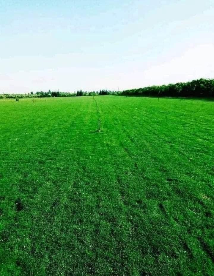 زبائننا الكرام اسعار تنافسيه سارع عله الحجز ابو الكميات سارع عله الحجز
متوفر كافة انواع الثيل الطبيعي 
الثيل الامريكي🌿الثيل الهندي🌿الثيل الايطالي 🌿الثيل الفرنسي
مع كادر مختص يجيك لباب بيتك
بسعر مناسب وكفاءة عالية
نجهز كل انواع الحدائق
والملاعب والمتنزهات 💚
الاسعار تختلف بختلاف النوع
ثيلنة الافضل 
وتوصيلنة الاسرع 🚙🚚
للطلب او الاستفسار التواصل مع الصفحة او الاتصال على الرقم التالي
***********     واتساب
***********
