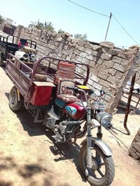 للبيع • ستوته