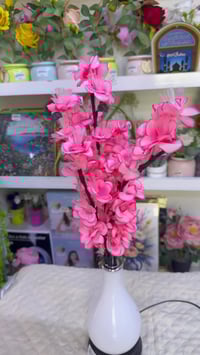 ادم مول يرحب بكم يومياً على مدى ٢٤ ساعة ♥️ كل احتياجاتكم اليومية تجدون...