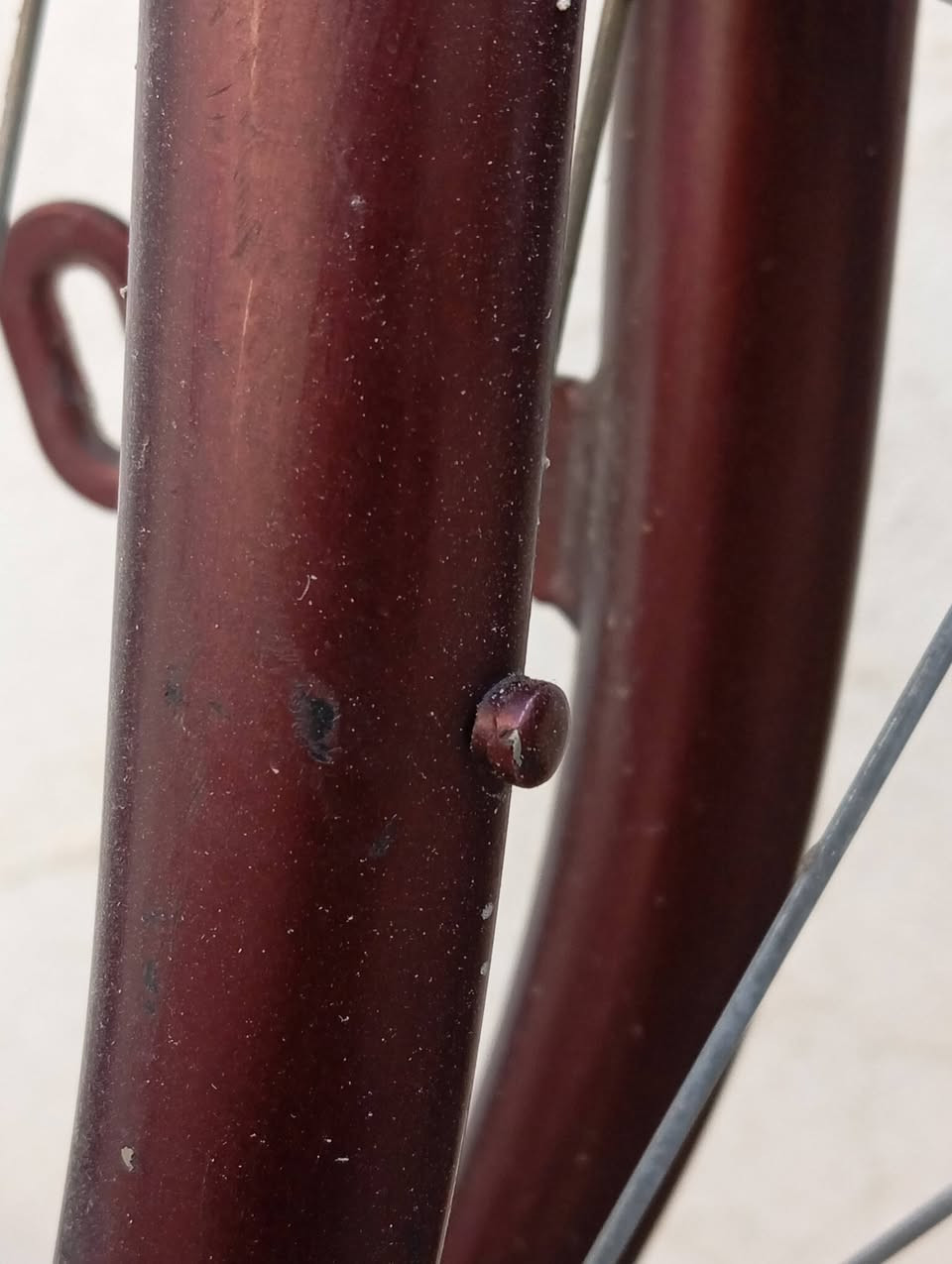 باسكيل ياباني باله حجم 24 شرط نظافه بدون اي عيب شلونه بل صوره هيج  شراي خابر وتدلل *********** واتساب او خاص
