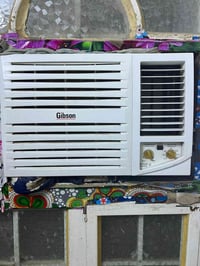 مكيف جبسون • طنين • موسم واحد