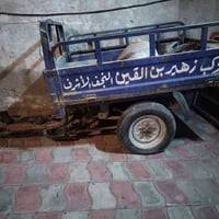 شاصي وبدي • جاهزة للسحب • نجف كوفة