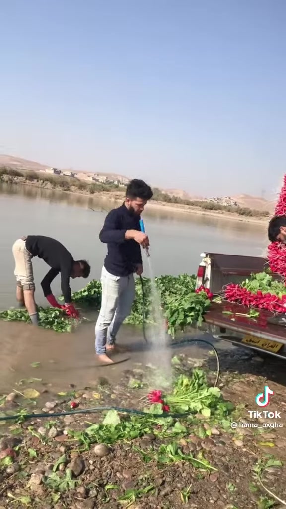 فجل الحويجه ولااروع منه
ماشاء الله تبارك الرحمن


**إذا كنت صاحب هذا الإعلان وتريد حذفه لأي سبب، رجاءا أرسل رسالة إلى الدعم الفني**