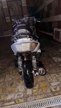 فحل كابريتر مزوده خير من الله  يدات كوسو أصليات   قبق عنبار بريك كوسو ...