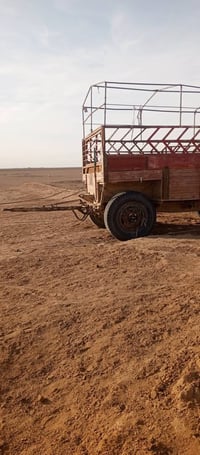 عربانة • بعاج الجغيفي • للبيع