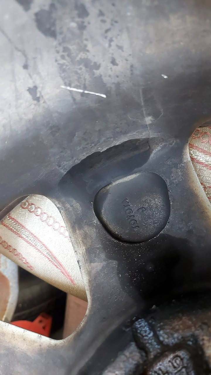 سلام عليكم بيع فقط تخم حجم 15 اصليات  مكاني السماوه قضاء الرميثه ***********
