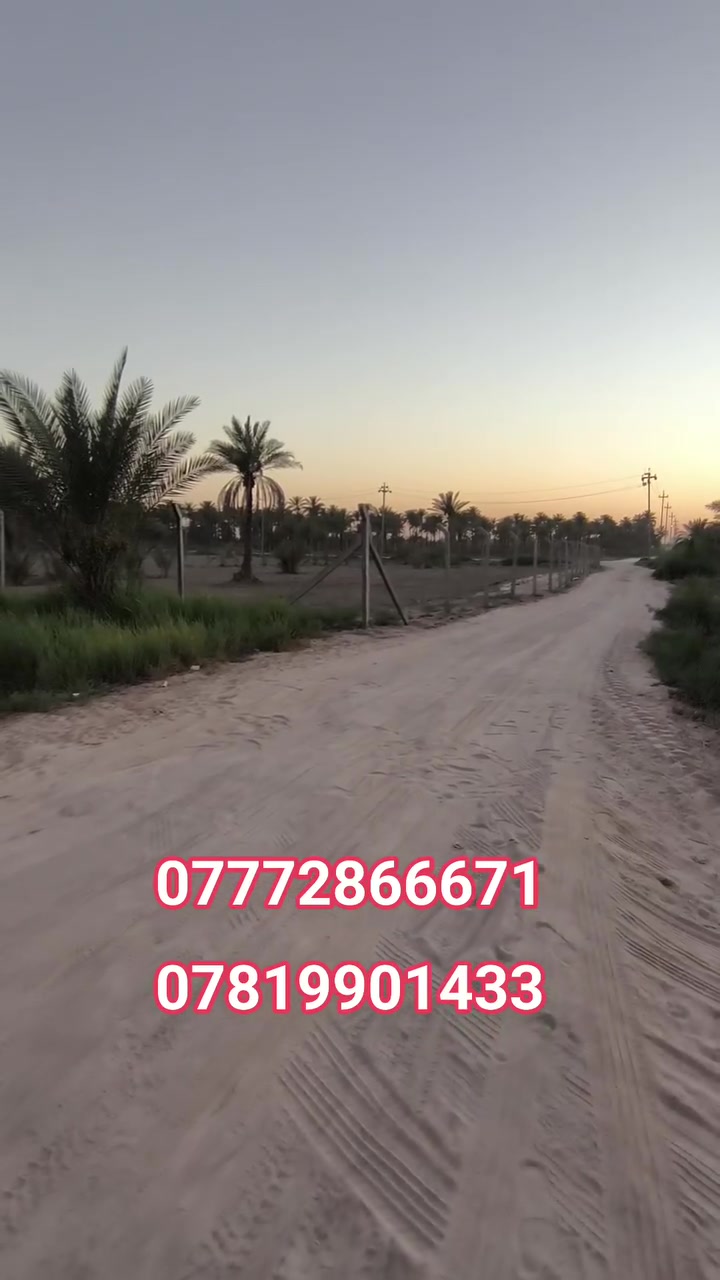 🏡 #للبيع_4ونص_دونم_طابو_زراعي_سند25)
✅ تحويل أسهم مباشرة باسم المشتري
✅ #واجهة 43 متر
✅ #مسيجة بالكامل
✅ #خدمات متوفرة: • ماء إسالة • كهرباء
• ماء سقي سيح من الواجهة والخلف
📍#الموقع: طريق كربلاء – طويريج منطقة الدويهية
#يبعد عن الشارع الرئيسي 3 كم، وعن التبليط الفرعي حوالي 40 متر فقط.
📞 #للاستفسار #والتواصل:
                    🚩 سيد حسين 🚩
 ***********☎️             ☎️***********
