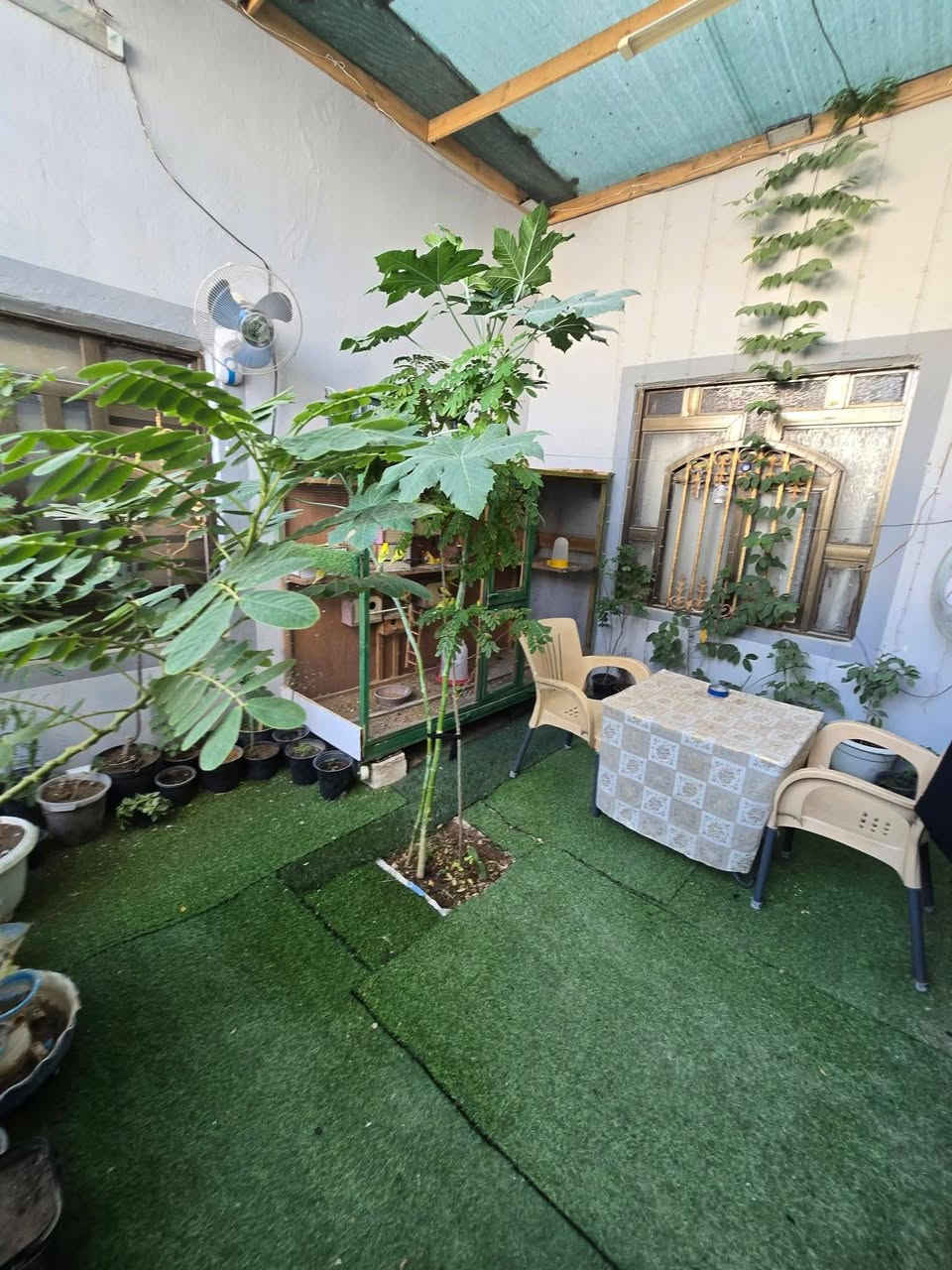 بيت لبيع بشارع المطار الجديد المساحه ١٢٥متر يحتوي على غرف٢ وصاله ومطبخ وستقبال ومكشوفه وصحيات وطارمه السعر ٣٥ وبي مجال للستفسار***********مكتب بركات ام البنين قرب مثلجات سنبله
