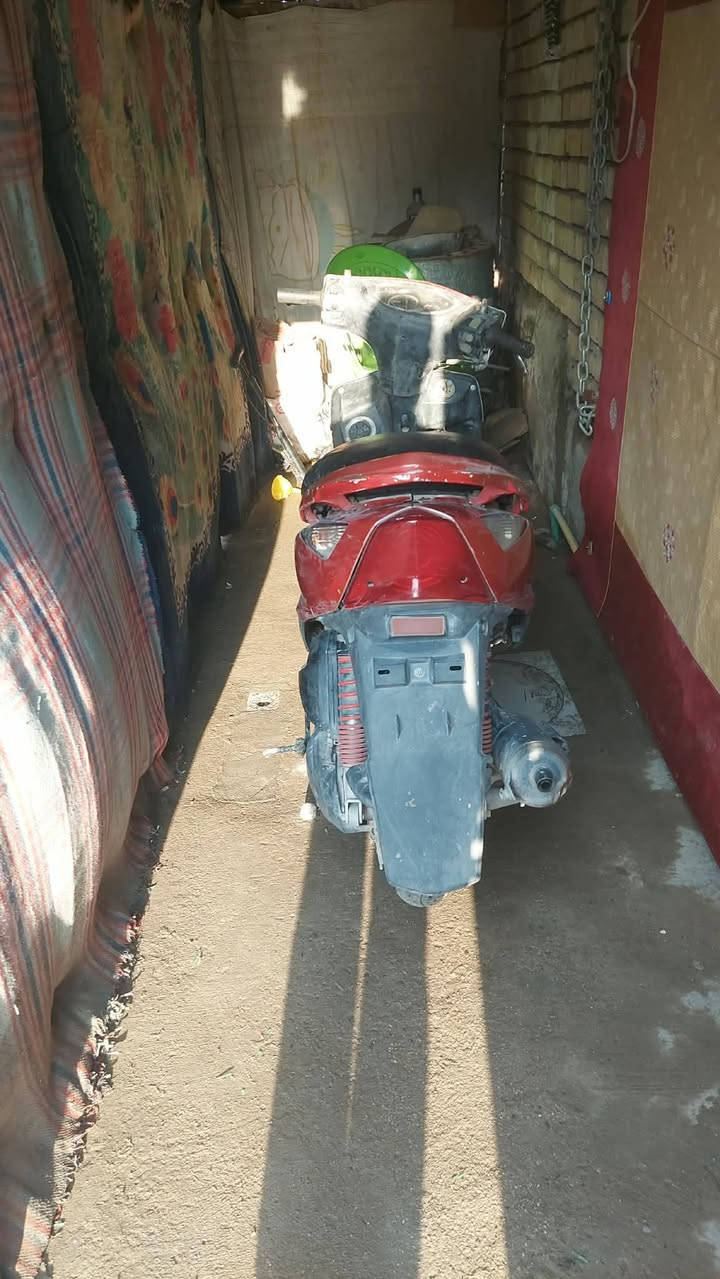 السلام عليكم ثعلب نوزل مكاني بغداد الشعلة سعر 350 اي ستفسار موجود خاص


**إذا كنت صاحب هذا الإعلان وتريد حذفه لأي سبب، رجاءا أرسل رسالة إلى الدعم الفني**