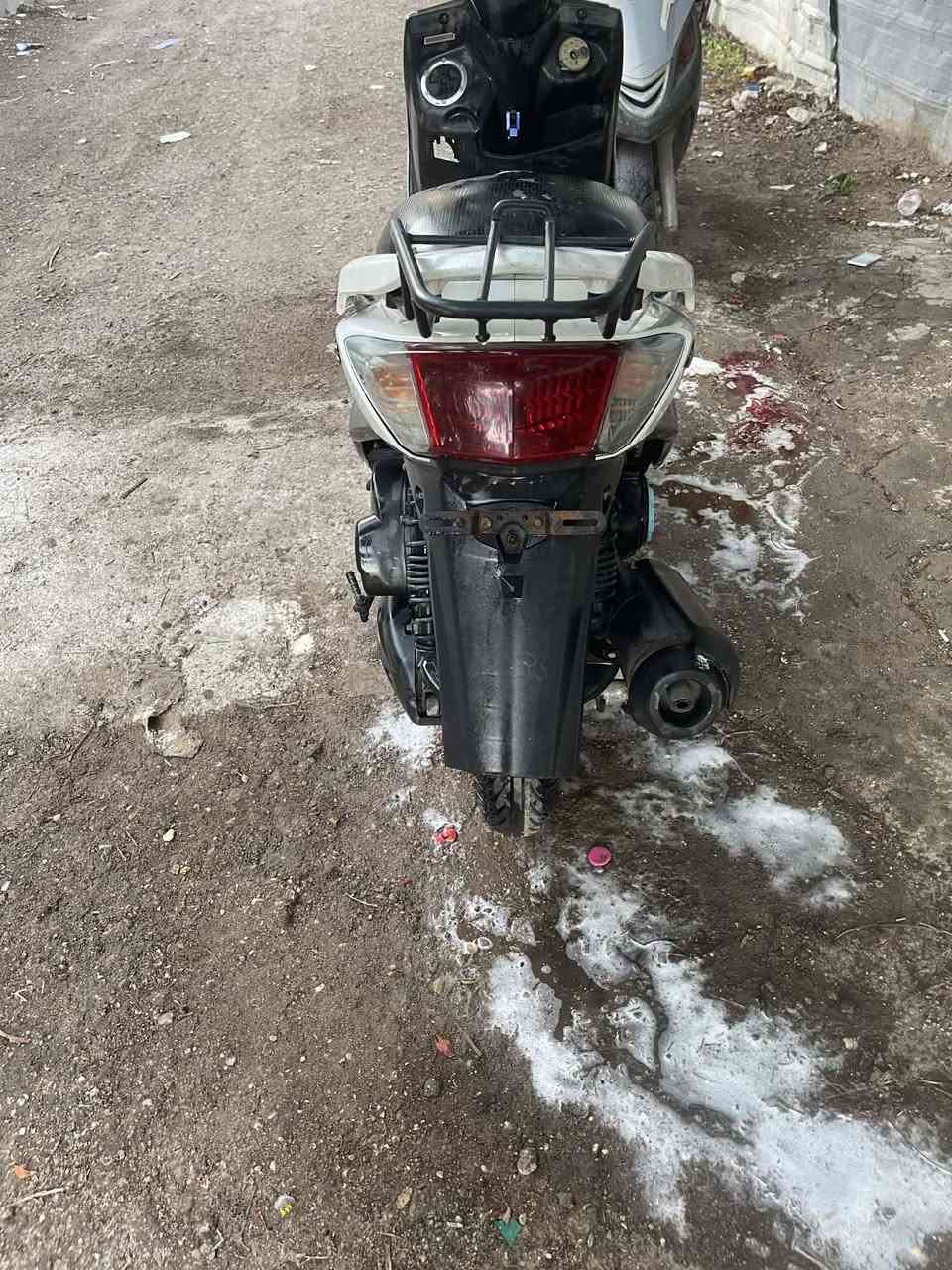 سلام عليكم شباب سكنس البيع كلش نضيفه لله شاهد مل ولد موضف ميطلع بعيد الدراجه خير من لله ناعمه كلش سعر الدراجه 1000
مليون المكان بغداد البياع ***********
