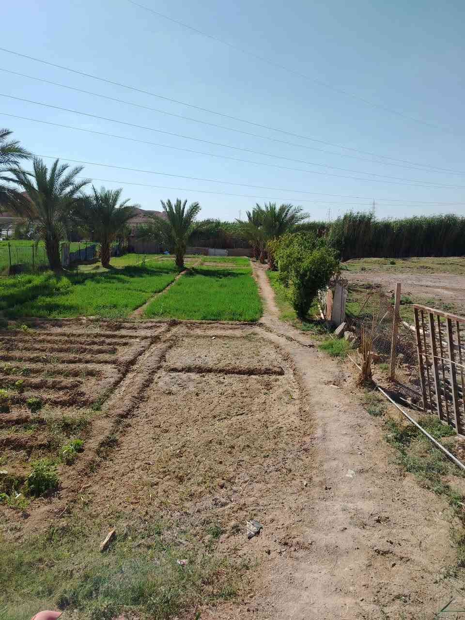 سلام عليكم للبيع بيت + مزرعه تجاوز بس بي معامله طابو بي اوراق مي وكهرباء بأسمي مكانه هيت حي امينه قريب علشارع العام  شارع تبليط  المساحه الكليه 1500م .مساحه البناء 300ولباقي مزرعه متكون من غرفتين 5/4 وصاله وديوان 8/5/ وهول ومطبخ وبيتونه فقط وصحيات خارجيه وحديقه السعر ((100وبي مجال للشراي)) للاتصال ***********
