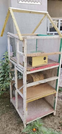 كركوك • جيد • ديكور