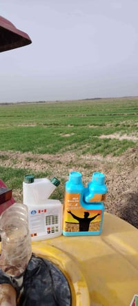 دريم • الكرنستار • الزبيدية الشحيمية