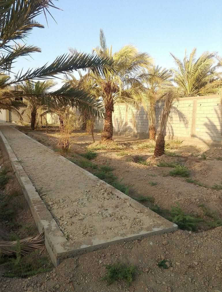 1100 متر للبيع ابي الخصيب محيله 

على تبليط اونهر يحتوي على نخيل 🌴

ومسيج ومرتب شارع مالته كلش كبير 

يبعد عن سيطرة محيله  300متر
 
طابو ملك صرف بسعر مناسب 

باقي التفاصيل اتصل ***********
