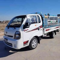 كيه بنگو • 2019 • بدون صبغ