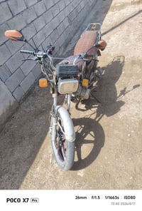 سيفان • ٢٠١٩ • سلف