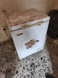 مجمدة • ما تحتاج تصليح • بغداد الخضراء