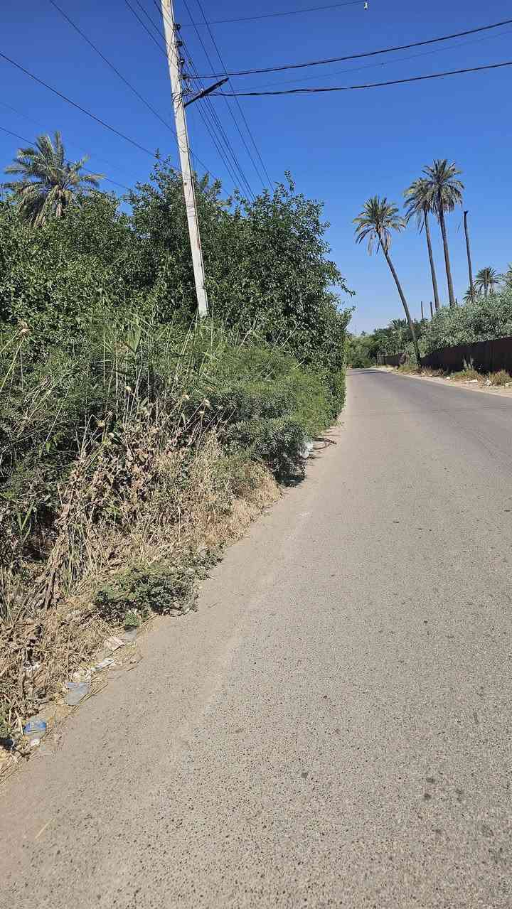 السلام عليكم🇮🇶 (٢)دونم  شاطئيه طابو زراعي سند خمسه وعشرين تحويل مباشر باسم المشتري في بغداد الفحامه قرب جزيرة بغداد السياحيه تبعد دقيقه واحده عن باب الجزيره الثالث الواجهه عملاقه (٧٨م) بالامكان للمستثمر استثماره بمشاريع كثيره حتى المشاريع بالامكان القيام بها فقط عليه راس المال على الشارع الرئيسي التجاري وكما تعرفون هذا الشارع له اهميه كبيره لما يمتاز من مؤهلات مستقبليه وحيويه النزال (٦٥م) للاستفسار الاتصال على الارقام الاتيه الليث الحياني (***********)(***********)بعض الاخوه يسأل عن عدم ذكر السعر احد الاسباب هي من اجل فتح باب اوسع من خلال التواصل فاذا ذكرنا السعر سوف تكتفي بمعرفة السعر وبالقارنه مع امكانيتك سوف تقوم بمغادرة العرض ولكن نحن لدينا الكثير من العروض ممكن تقديمه لحضارتكم من خلال اتصالكم لمعرفة السعر ونحن بدورنا سوف نقوم بتقديم العروض التي تتلائم مع امكانياتكم اسف على الاطاله تحياتي لكم اخوكم العقاري الليث الحياني***********.                                                             ***********
