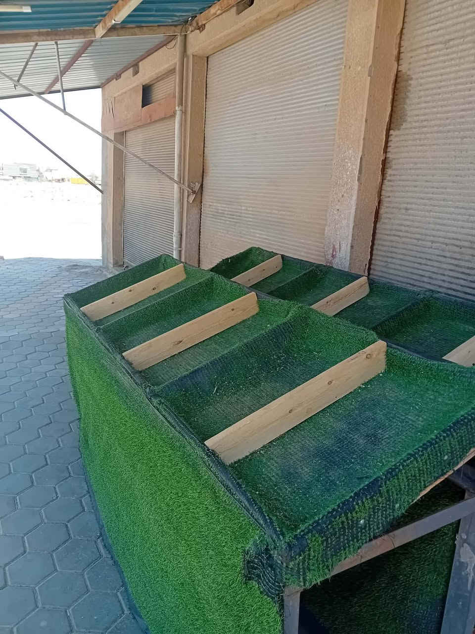 السلام عليكم ميوزه مخضر للبيع عدد 2 للتواصل ***********
