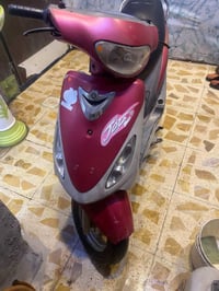 ماكس منغولي • ختم واحد • مدينة الصدر