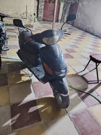 اكزز • فحل • تجاري