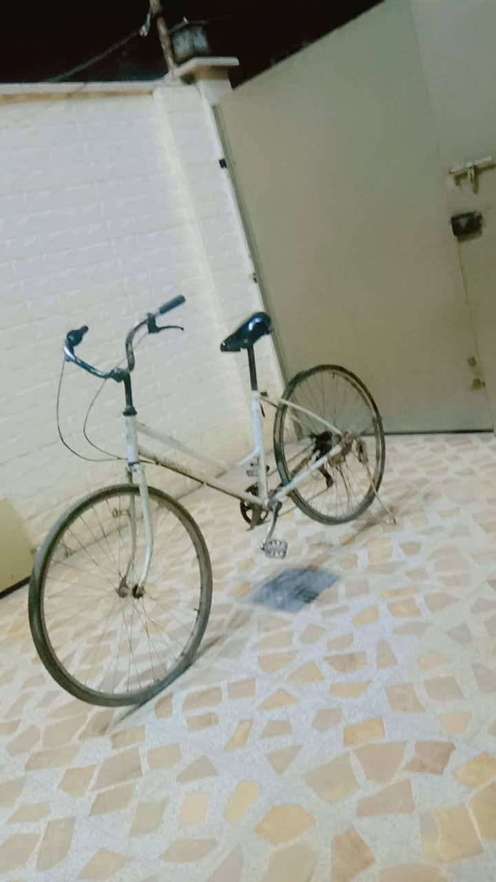 باسكل عبد الحليم لبيع حجم 26  الاغراض سله 
سيبايا حديدي من كدام السعر 35


**إذا كنت صاحب هذا الإعلان وتريد حذفه لأي سبب، رجاءا أرسل رسالة إلى الدعم الفني**