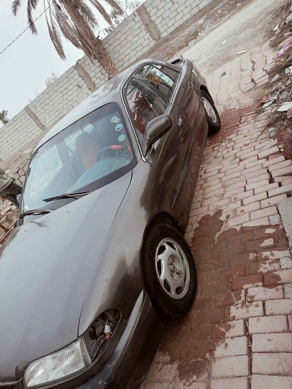 سلام عليكم شباب سياره سوناته موديل 94 رقم بغداد  سياره مكينه مفتوح كير اوتماتيك  سي مكينه وكير وتخم تاير  جهازات بس حداديه نص عمر  سياره جهازه سنويه صاقطه  2020 حايز ثالث ملك ب كربلاء  بيها وكاله عامه  سياره مراوس  بهارتوب بطه  مارك  سوبر كلشي جان  مكان سياره رميثه شارع العام يم مسبح  رقم جهاز وبي واتساب شعندك مروس راسني واتساب وتصل عل خط  ***********
