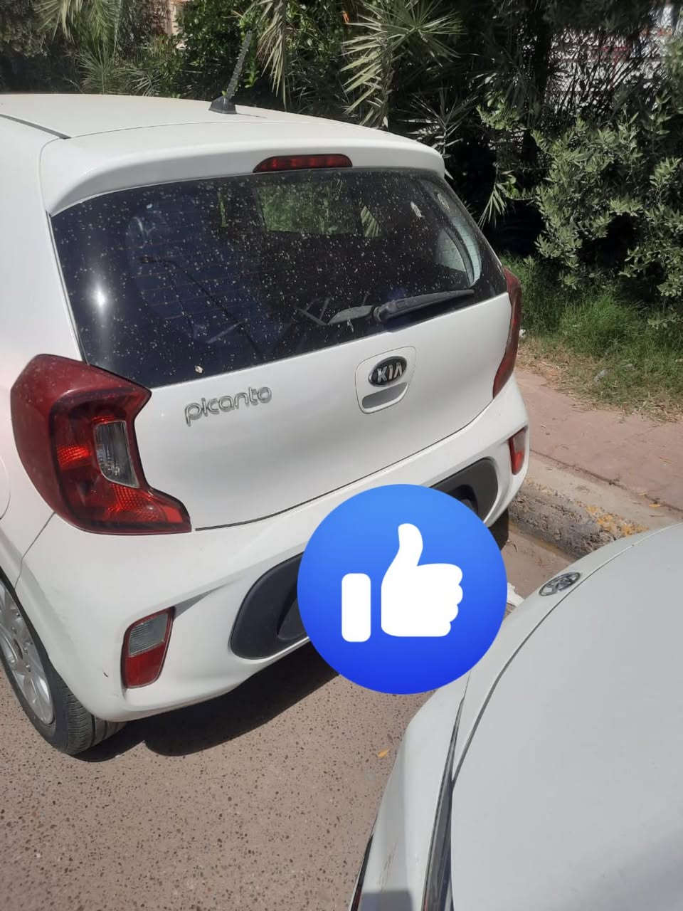 كيا بيكانتو موديل 2018
مكفوله كفاله عامه السبير منازل 
السعر115وبيها مجال 
متوفر تلفون واتساب

+964 790 248 1359

***********
العنوان بغداد الاعظميه
