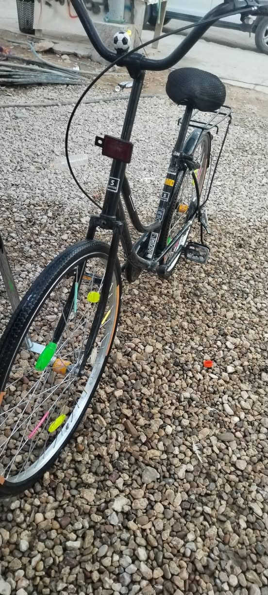 سلام عليكم باسكل البيع مديل 19 سانتوس ما مصبوغ باسكل بدون جاملغ كدام و صنيه ما بي هوه غراضه كامله بس صنيه و جاملغ كدام ما بي سعر 60 وبي مجال ابيع او مراوس مكان نجف رقم *********** وساب فقط
