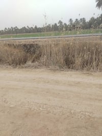 كربلاء اطوريج • ٢٥٠٠م • تبليط ماي كهرباء