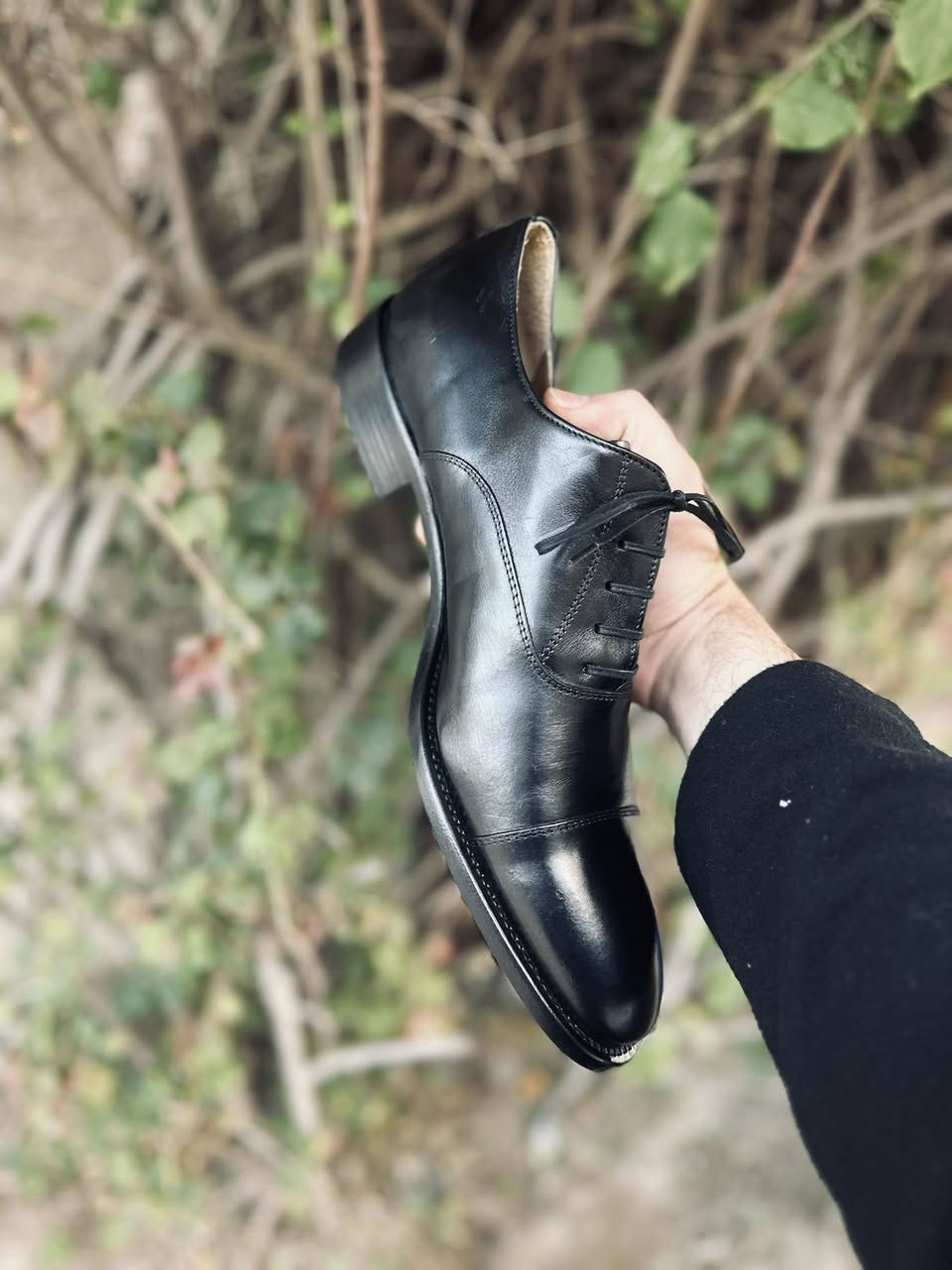 اكسفورد 46
***********
