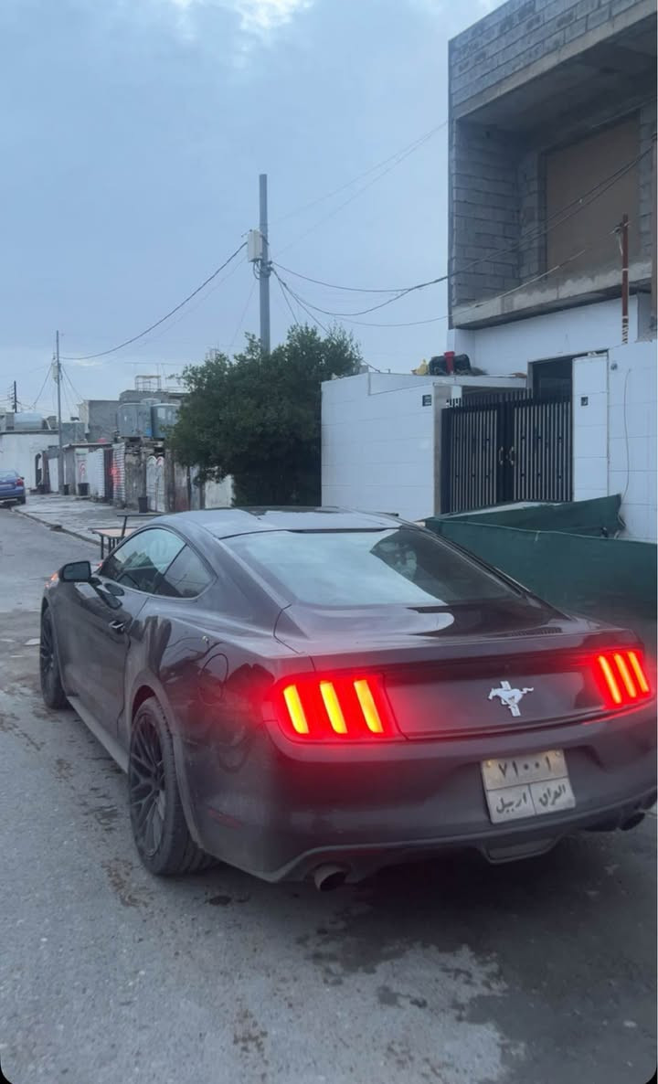 مۆستانگ v6 سێپارچەی سبوخە سەرە شانسیە کەی پیشەوە تۆزەک گرتوە ٢٠١٧ فول فول الرمادي, الأنبار


**إذا كنت صاحب هذا الإعلان وتريد حذفه لأي سبب، رجاءا أرسل رسالة إلى الدعم الفني**