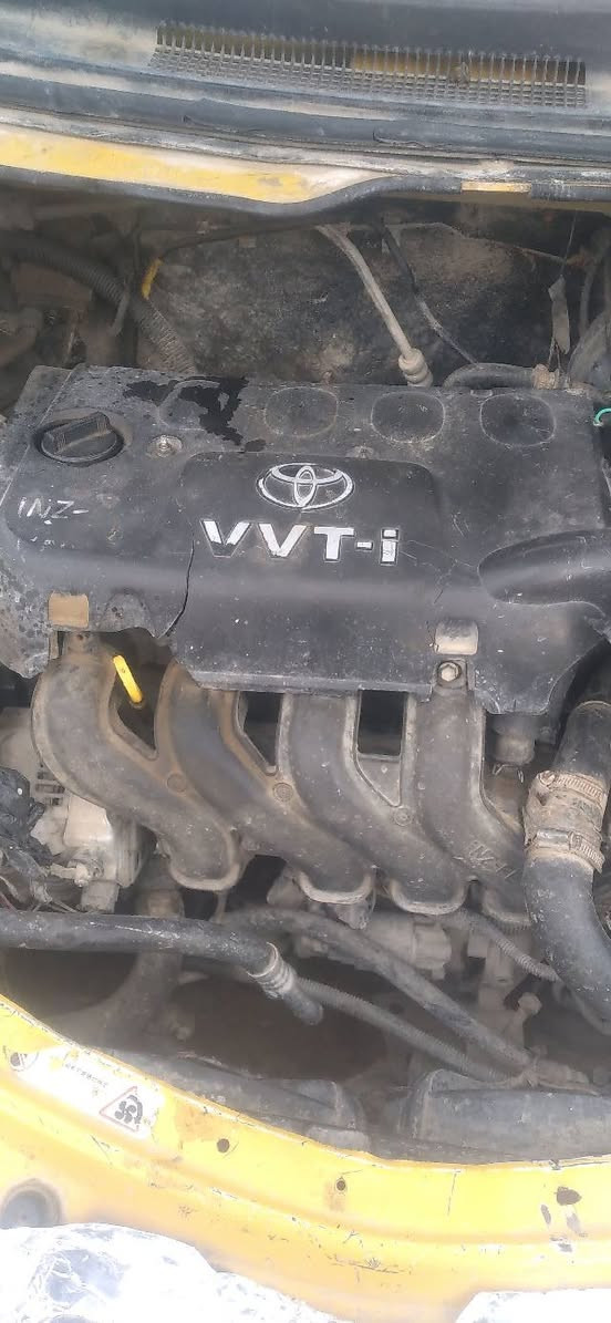 سلام عليكم  شيري فلاوين مديل 11 محورة كورلة بيكاجو سعر ٢٠ وبية مجال سيارة بية صدر تعبان


**إذا كنت صاحب هذا الإعلان وتريد حذفه لأي سبب، رجاءا أرسل رسالة إلى الدعم الفني**