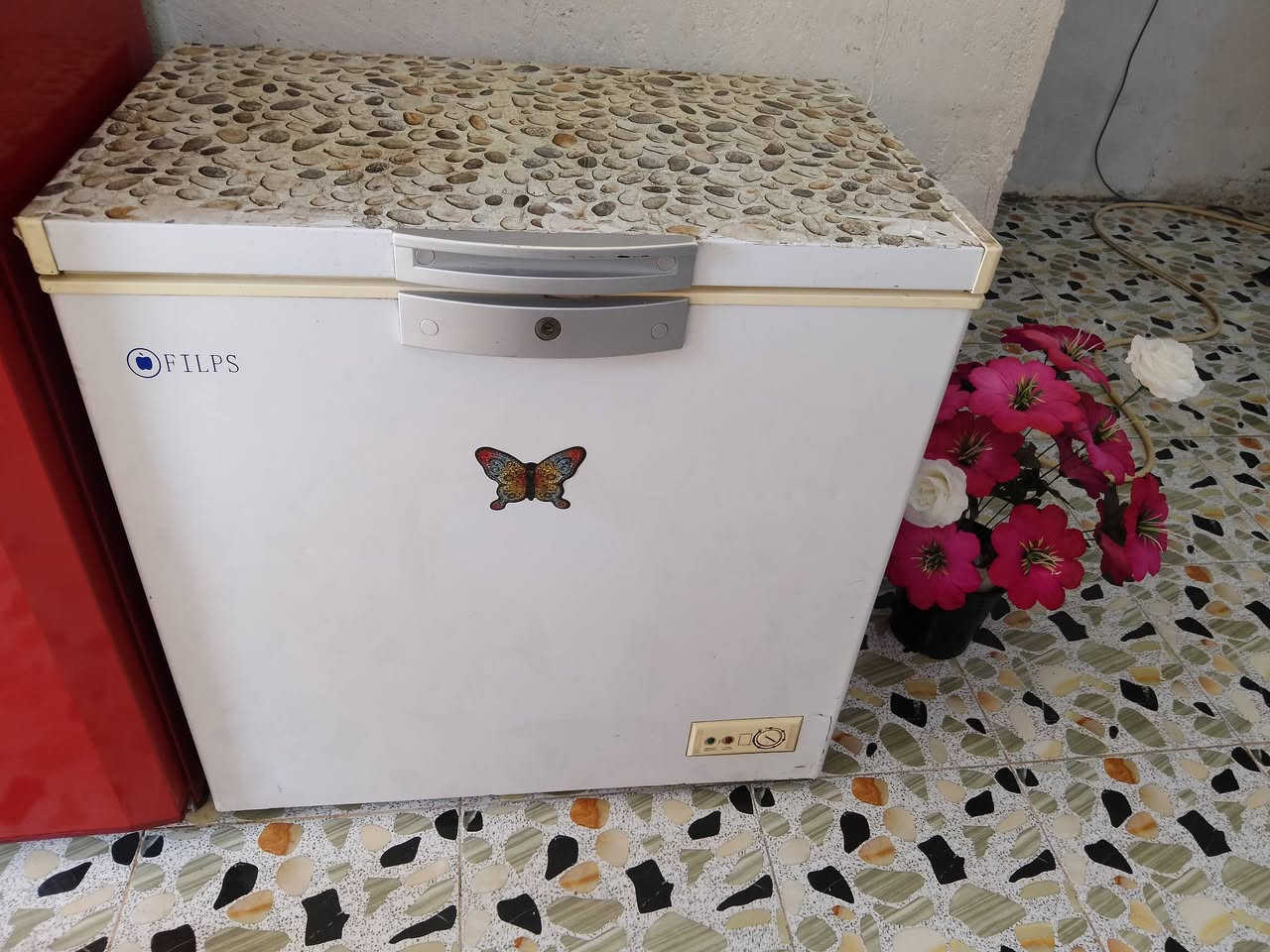 مجمده نظيفه وجديده كما موضح بالصور فجأه صارت ماتبرد ابيعهه علئ وضعها  كول غراضهه موجوده الجام والشبجه والسله قيم باليرضي الله


**إذا كنت صاحب هذا الإعلان وتريد حذفه لأي سبب، رجاءا أرسل رسالة إلى الدعم الفني**