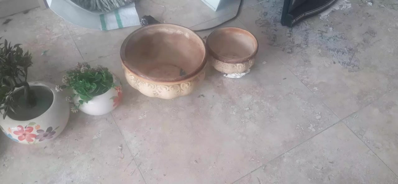 غرفة نوم بحالة جيدة مع دوشك طبي 175
دوشك طبي 50
طقم كنبات ١٠ نفر  كوشات متحركه مع طاولتين  50
ميز تلفزيون 15
ميز صغير 15
براد شغال ١٠٠% منظر بحالة جيدة  75
مبردة مع حديدة رفع 75 
تلفزيون + صحن مع شريط وصل من الصحن لل تلفزيون 100
مزهريات ورود 75
موكيتات ٣ كبار ١ صغير 50


**إذا كنت صاحب هذا الإعلان وتريد حذفه لأي سبب، رجاءا أرسل رسالة إلى الدعم الفني**