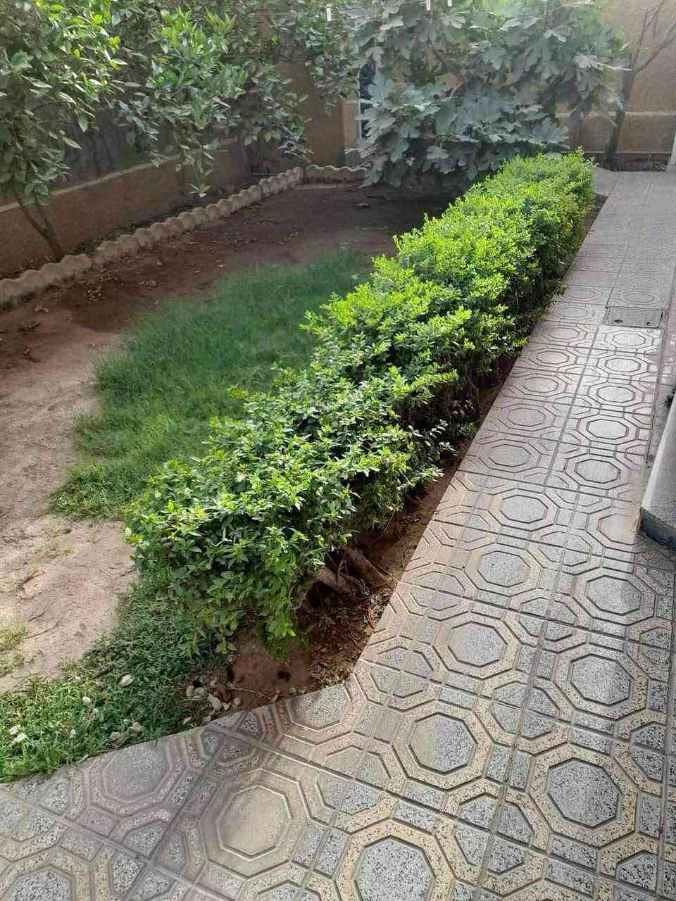 السلام عليكم بيت طابقين طابو صرف في بغداد مساحه ٣٠٠ في ابو غريب حي المهندسين البيت محافظ عليه حالته جيدا جدا والمنطقه جاب يشتغلوها مجاري وتبليط صاعده قرب السريع الفلوجة يحتوي خمسه غرف نوم مصروف عليه بل جديد ترميم كامل وشغل بواري حديث ومطبخ حديث ومخزن خارجي بناء جديد وحدائق الي عنده استفسار
ر عن السعر او البيت يتصل عله الرقم ***********
