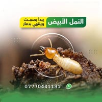 مكافحة الارضة #اتصل_الان 07770441131 بيت - دائرة - مجمعات سكنية - مدرس...