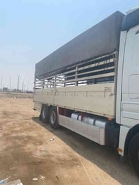 بصره القرنه • طول ٧٦٥ • ابريص ٤٨٠