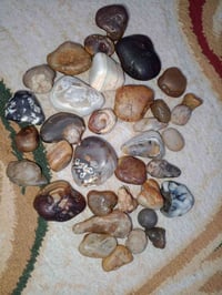 الغلب • سليماني • خام