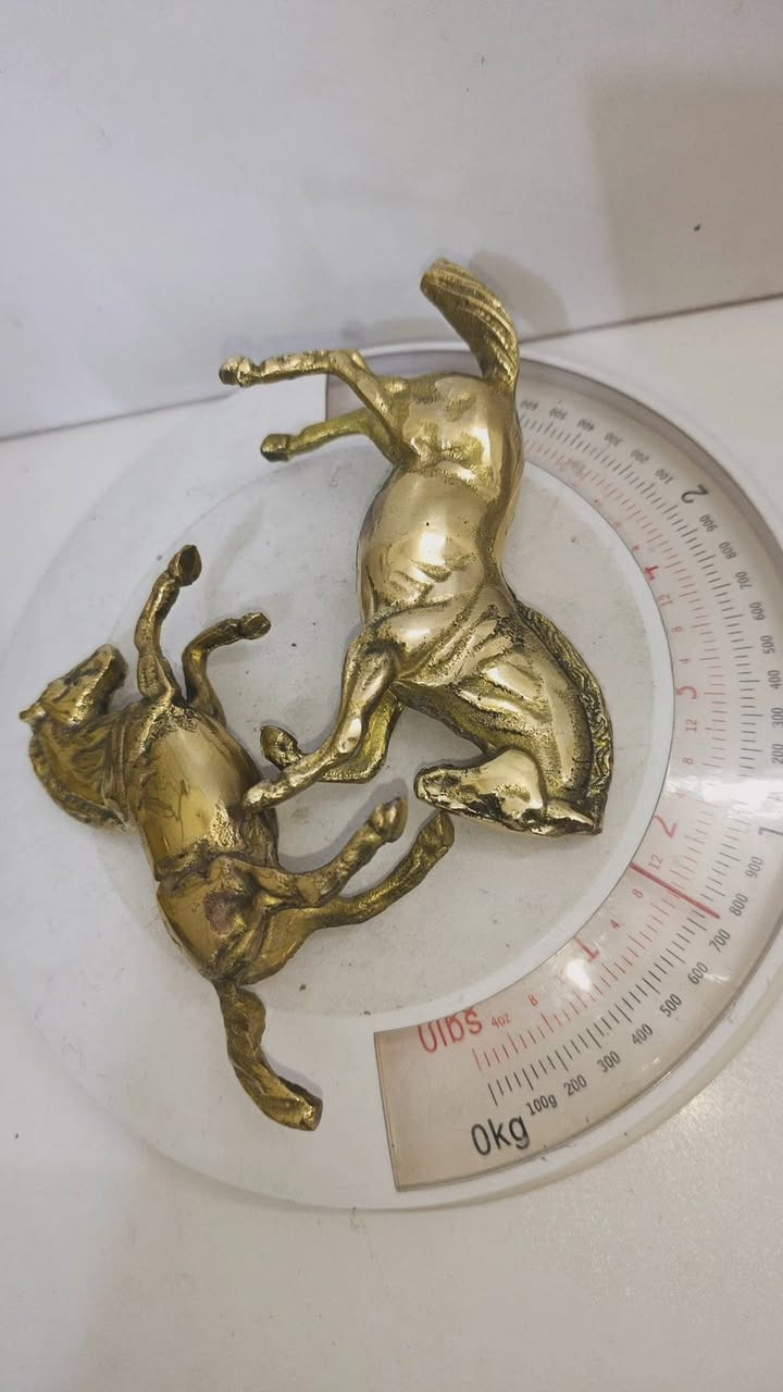 خيول ثنين نحاس
سعرهم 20


**إذا كنت صاحب هذا الإعلان وتريد حذفه لأي سبب، رجاءا أرسل رسالة إلى الدعم الفني**