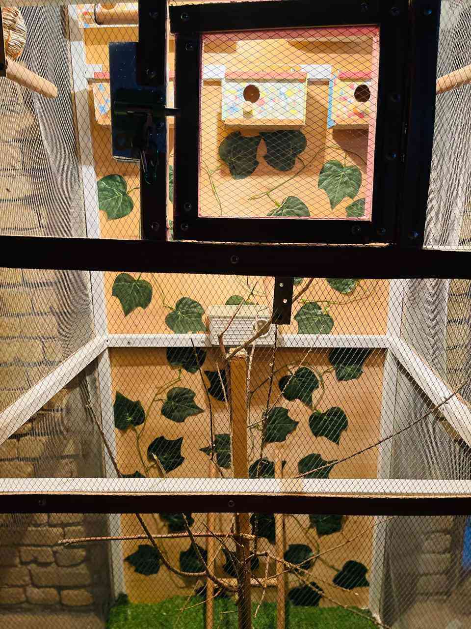 سلام عليكم قفص حديد بلكامل للبيع أرتفاع 190 عرض 85 صفاحيه75


**إذا كنت صاحب هذا الإعلان وتريد حذفه لأي سبب، رجاءا أرسل رسالة إلى الدعم الفني**