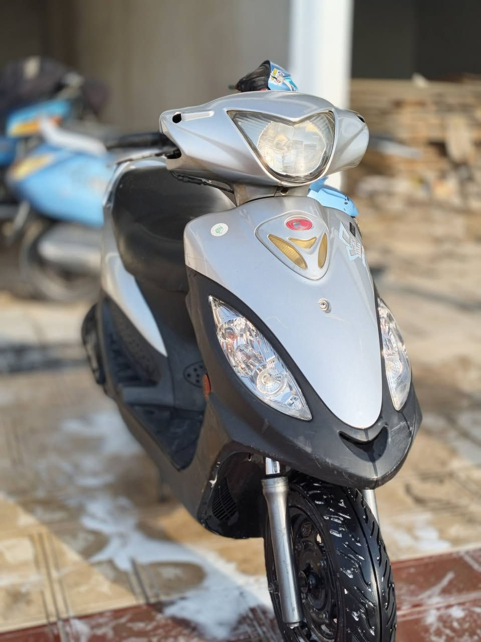 السعر ٨٠٠ العنوان ناصرية شطره فول نضافه ***********الرقم
