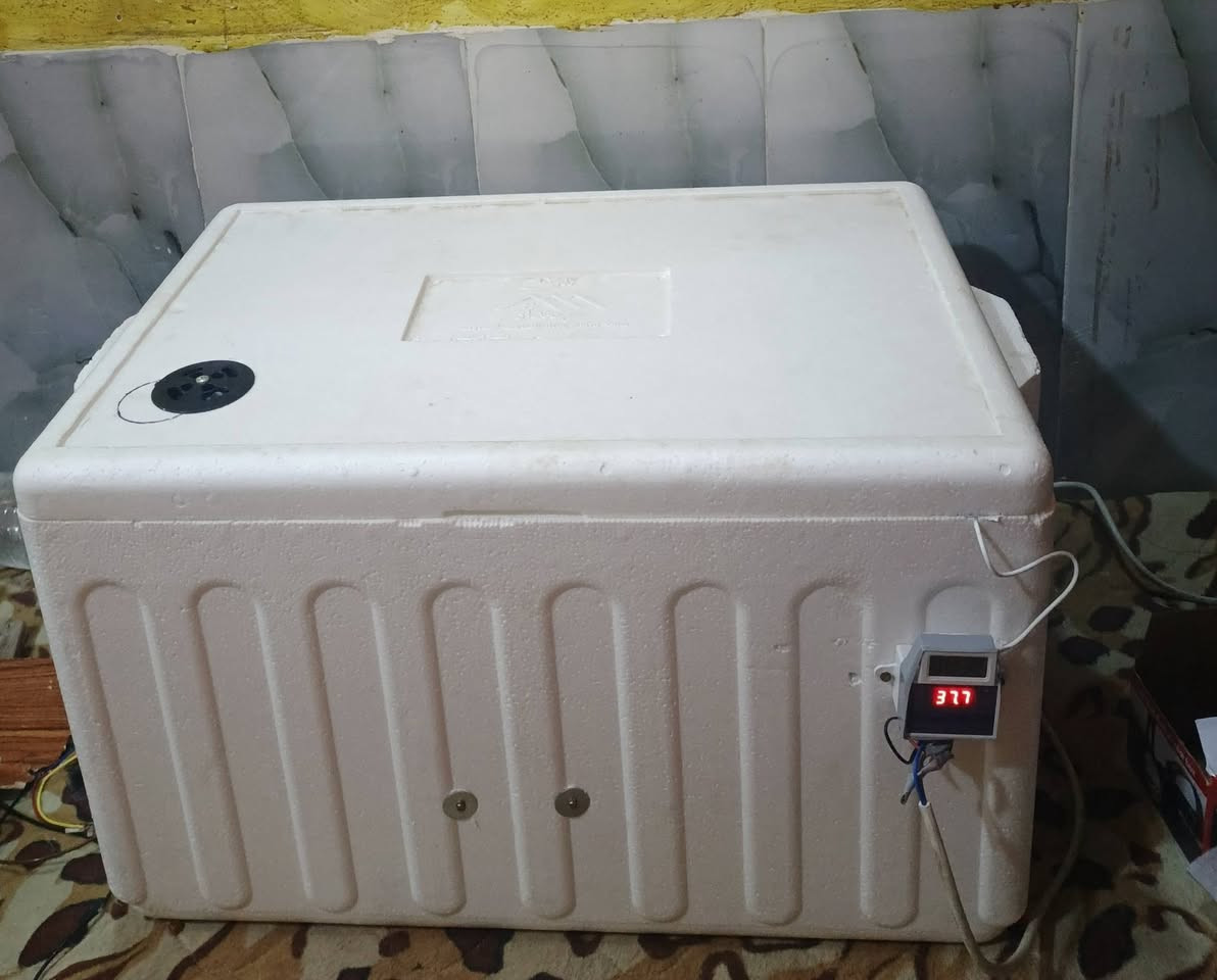 السلام عليكم..يوجد فقاسات حسب الطلب كلمن وسعره اي استفسار ***********بي واتساب. او علق وانه ادخلك خاص
