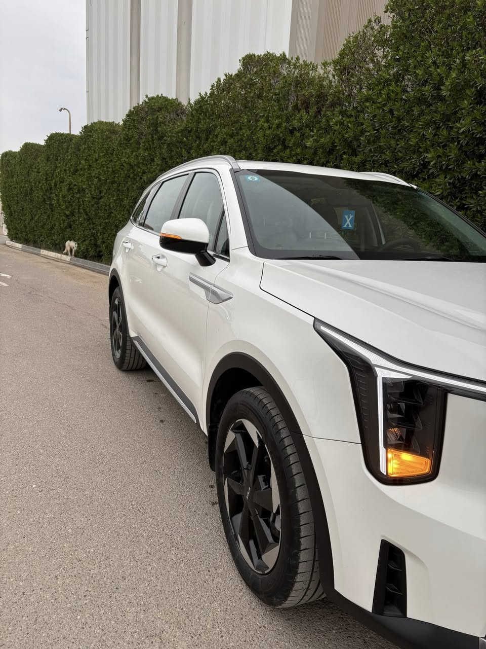 سورنتو موديل 2024
4 سلندر 2500
السيارة مكفولة من الضربة 
السيارة دولية مو NM ، بعدها بالضمان من سنة الصنع لمدة خمس سنوات ( كير ، محرك ، كهربائيات 
السيارة ماشية :- 23 الف وقابل للزايدة 
المواصفات :- 
كشن السايق كهرباء 
حساسات امامي
حساسات خلفي 
الصندوق كهرباء ( فتح الصندوق من البصمة ) 
تشغيل عن بعد 
بيها ترحيب من توصل يم السيارة
شاحن لاسلكي 
شاشة كبيرة ( نضام كاربلي ) 
كير عصة …! 
السعر 268 ورقة 
المكان :- بغداد الدورة شارع ابو طيارة
للاستفسار  :- ***********
