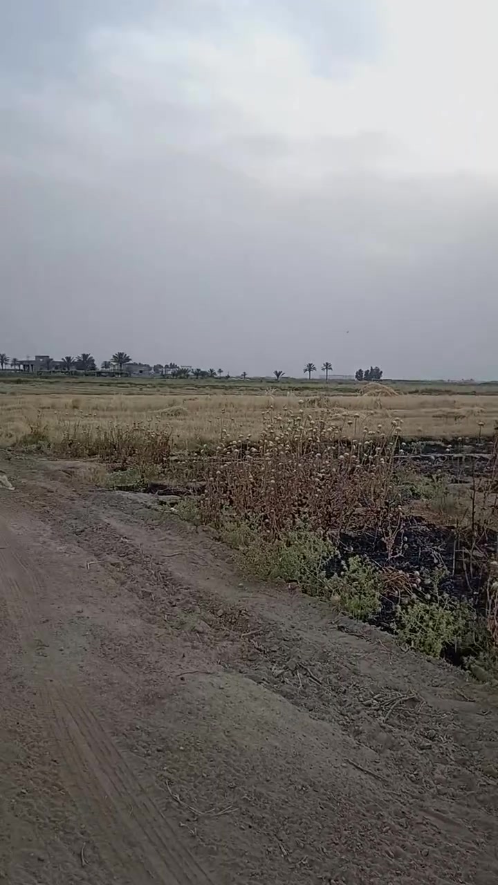 الي يدور ارض يسويه مزرعه هاي الك يتوفر قطعه ارض المساحه ١٣٥٠ متر جنس العقار زراعي سند ٢٥ الوجه ٢٣ ونزال ٦٠  الأرض وجه ع شارع واصله كافه الخدمات
العنوان البوبالي الشاميه الويبد  وبسعر مناسب جدآ
*********** حارث مؤيد 
 الي يدور ارض يسويه مزرعه هاي الك يتوفر قطعه ارض المساحه ١٣٥٠ متر جنس العقار زراعي سند ٢٥ الوجه ٢٣ ونزال ٦٠  الأرض وجه ع شارع واصله كافه الخدمات  تبعد عن الشط ٢٠٠ متر
