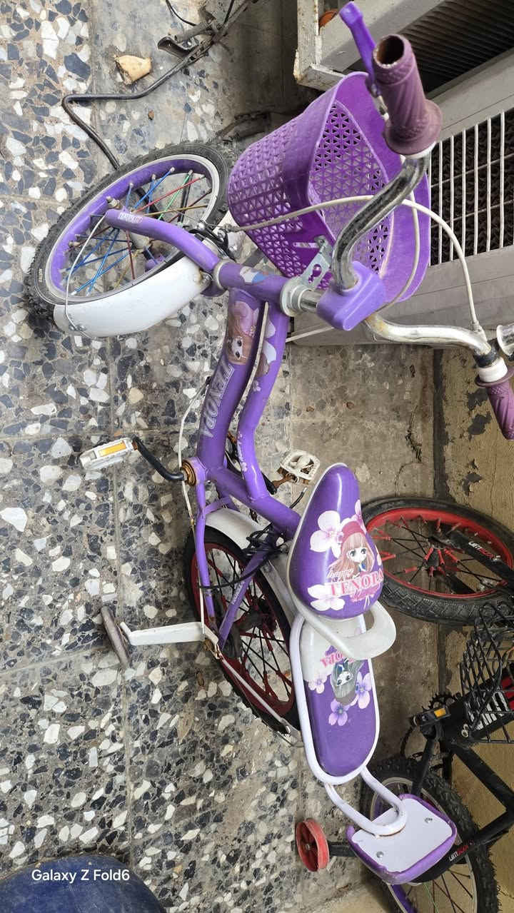 السلام عليكم بايسكلات اطفال عدد 2 للبيع سعر الواحد ٣٥ الف للاستفسار *********** مكاني مدينة الصدر
