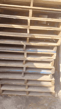 سكيب 100* 120 العدد 500 بغداد الرقم ***********
