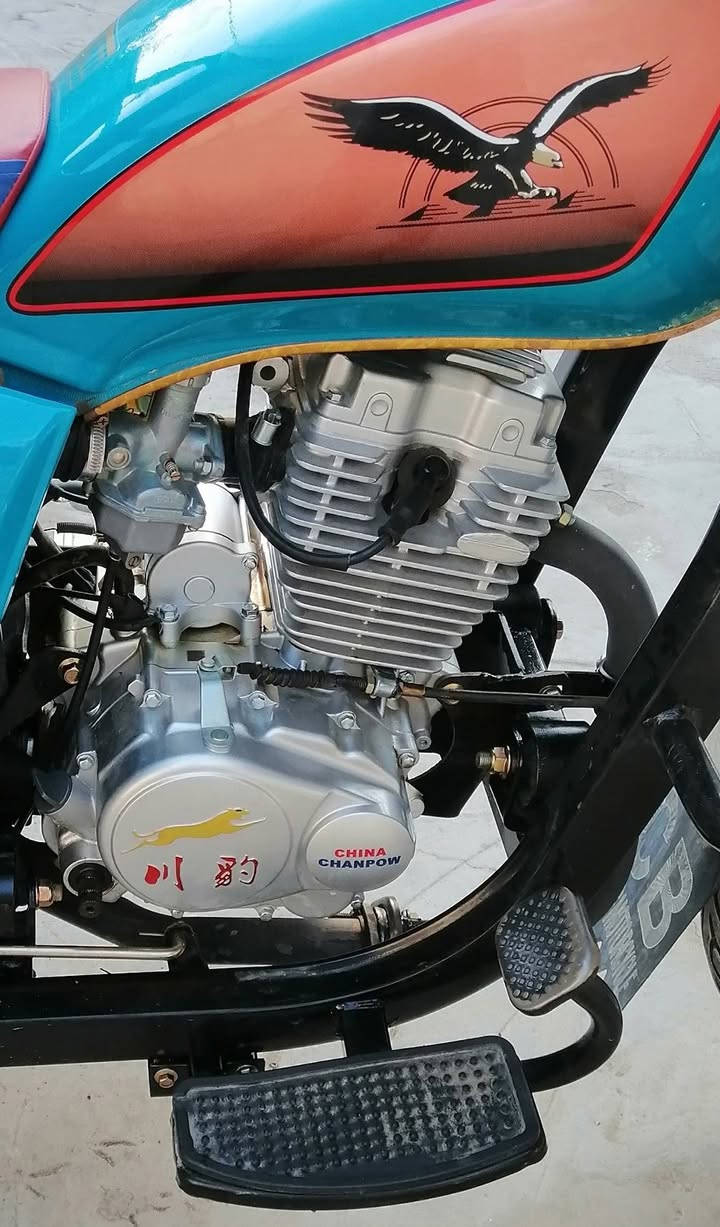 كفاله عامه تواصل خاص 🤝 ☎️***********🤝
