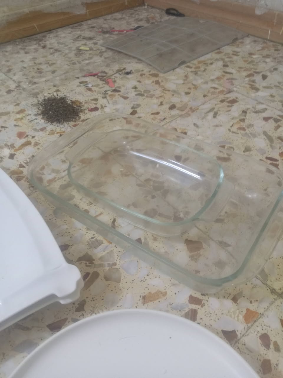 السلام عليكم
للبيع السعر مناسب جدا العنوان العماره السعر علئ الخاص


**إذا كنت صاحب هذا الإعلان وتريد حذفه لأي سبب، رجاءا أرسل رسالة إلى الدعم الفني**