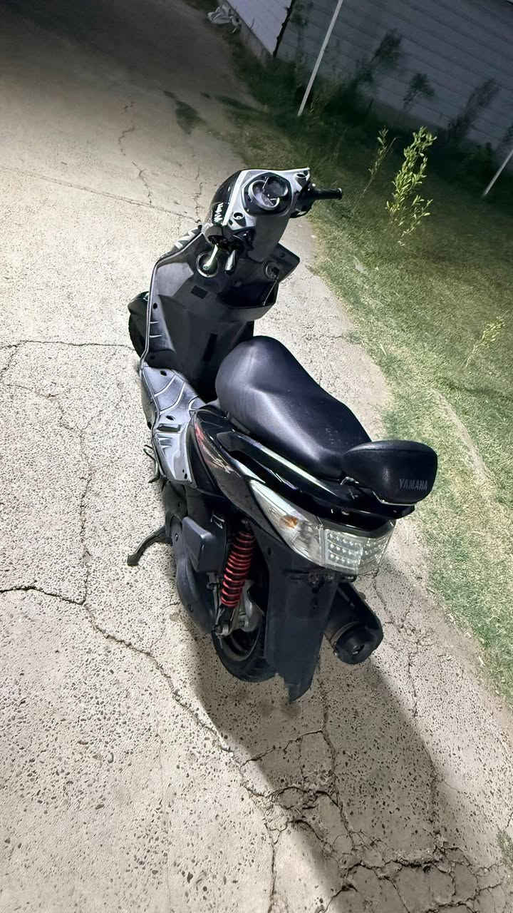دراجه سكنس فحل نوزل خطين أم الشرايط دراجه رمبه بكاني بغداد الدوره السعر 950او بيها مجال الرقم ***********
